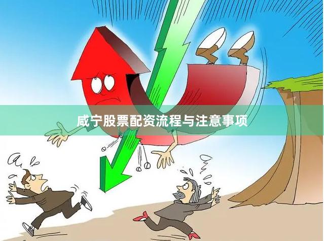 咸宁股票配资流程与注意事项